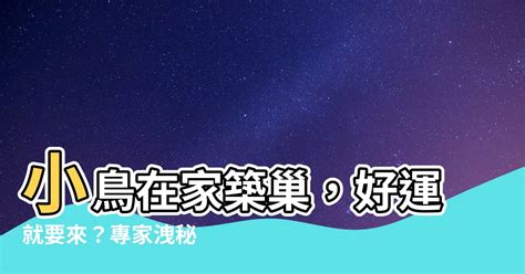 小鳥在家築巢風水|【小鳥來家裡築巢】小鳥來家裡築巢！竟是居家風水的絕佳好兆頭？